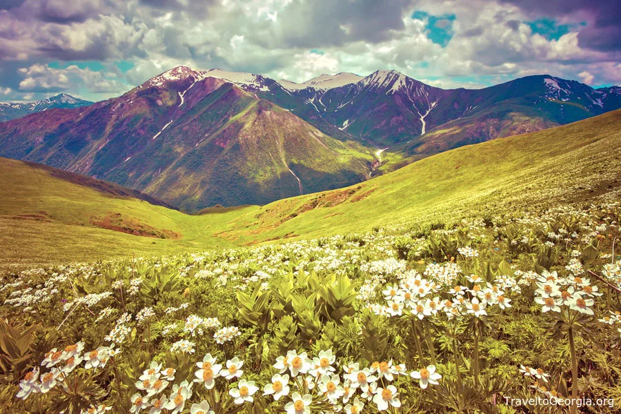 The Landscapes of Georgia