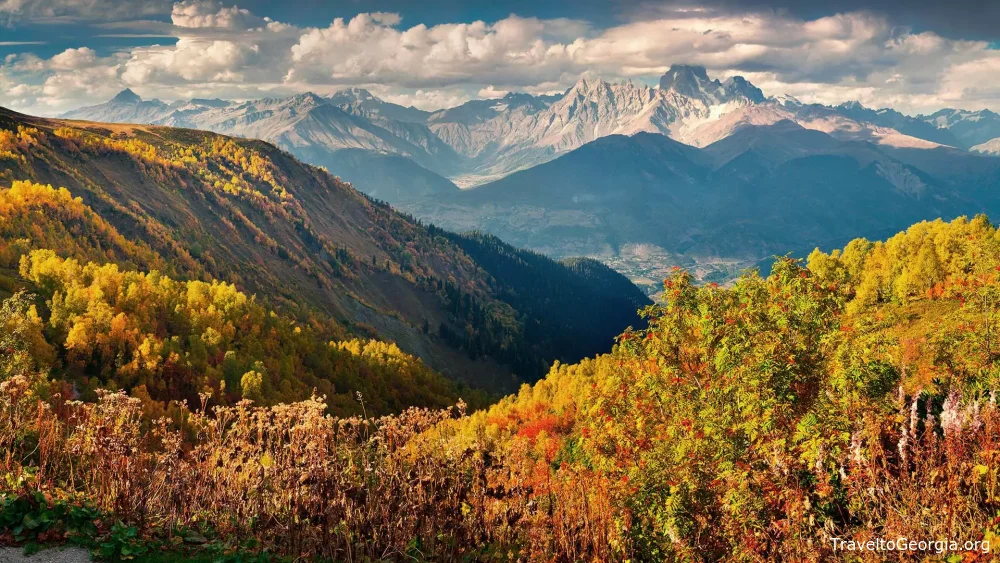 Weather and Seasons