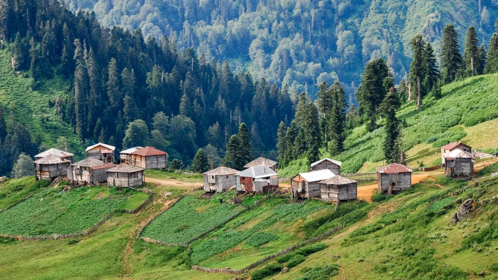 Gomismta: Mountain Resort in Guria, Georgia